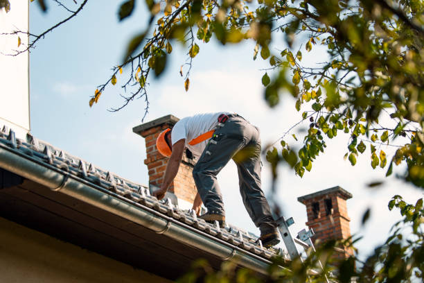 Best Residential Roofing Contractor  in Van Buren, AR